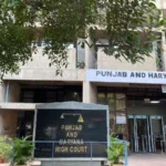 High Court stays tree felling in Punjab