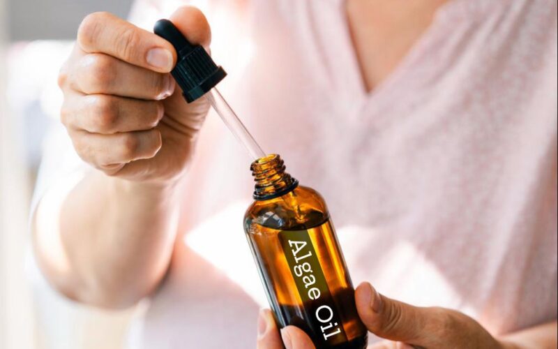 Algae( Algal) Oil Shows Strong Promise for Diabetic Support, Offering Heart, Metabolic, and Anti-Inflammatory Benefits