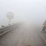 Cold wave grips Punjab, Haryana: Dense fog triggers zero visibility in several parts
