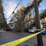 Power Restored Gradually After Powerful Windstorm Disrupts Life Across B.C.