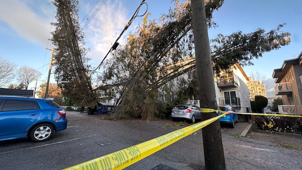 Power Restored Gradually After Powerful Windstorm Disrupts Life Across B.C.
