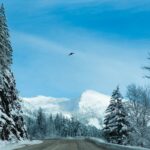 British Columbia Sets 2026 PNP Nomination Allocation, Falls Short of Request