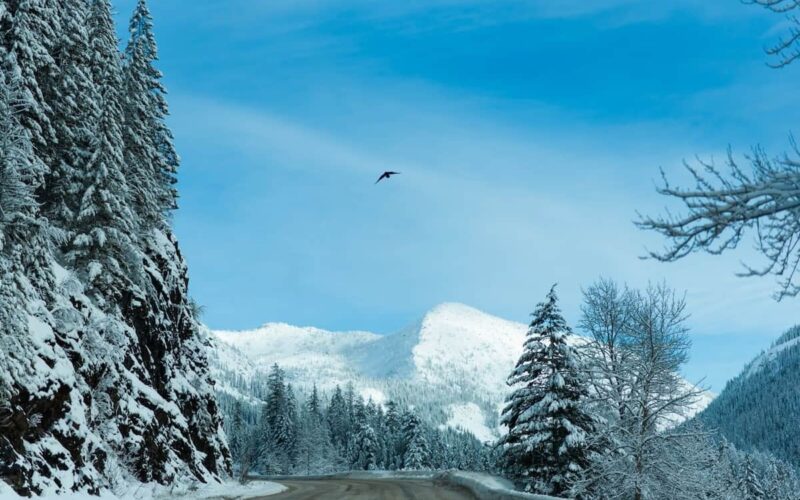 British Columbia Sets 2026 PNP Nomination Allocation, Falls Short of Request