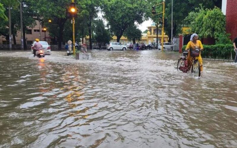 Rain lashes Punjab, Chandigarh; IMD issues alert for thunderstorm, hail and lighting
