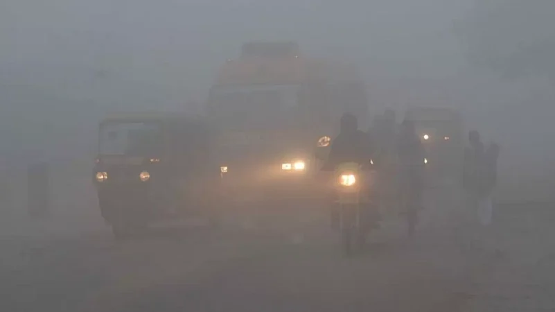 Red alert issued for dense fog and cold wave in Punjab, Chandigarh as visibility drops to zero in several parts