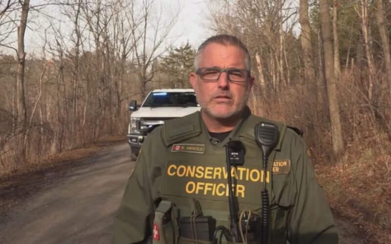 U.S. hunters penalized $27,500 for unlawful moose kills in remote Ontario wilderness