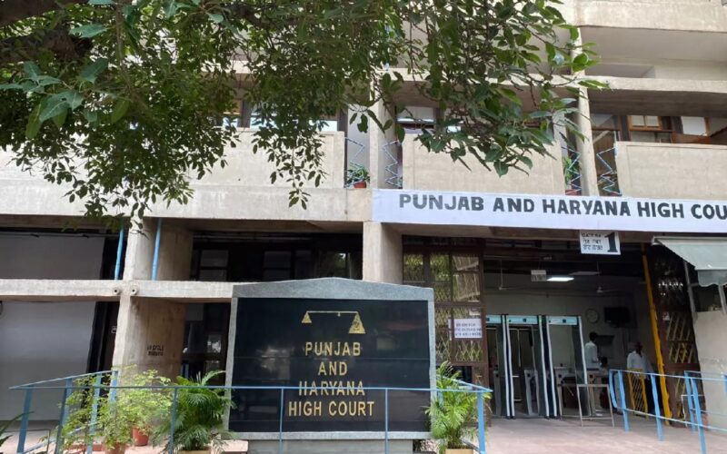 Punjab and Haryana High Court Affirms Woman’s Absolute Right to Abortion Without Husband’s Consent
