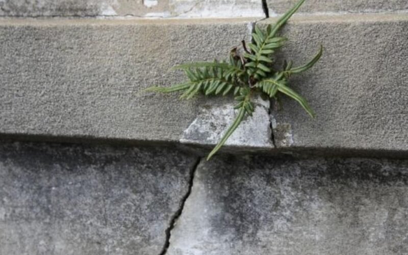 Cracks force 15 families to vacate Shimla building, 4-lane project under scrutiny