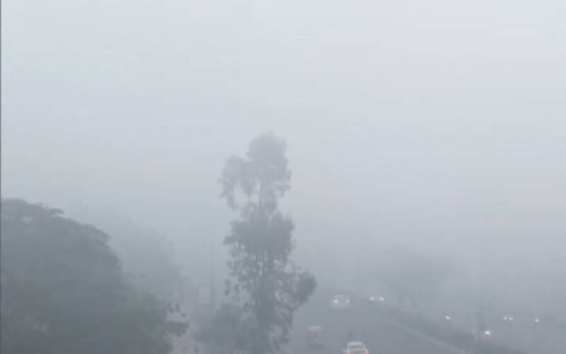 Cold wave and dense fog grip Punjab, Chandigarh till January 7; Orange Alert issued
