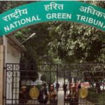 NGT halts desilting work across Punjab rivers, seeks replies over environmental clearances