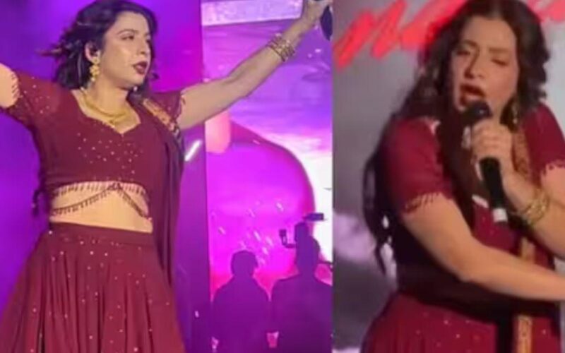 ‘Security remove them’: Jasmine Sandlas halts Delhi concert midway, alleges harassment with female fans