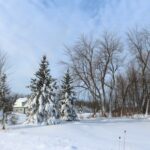 Flood Warnings Issued Across Southern Ontario as Snowmelt Raises Water Levels