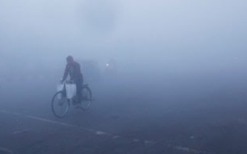 Delhi wakes up to dense fog with reduced visibility; trains delayed, flight operations hit