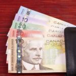 Canadian Dollar Slides as Markets Weigh Retail Slump and Landmark U.S. Tariff Ruling