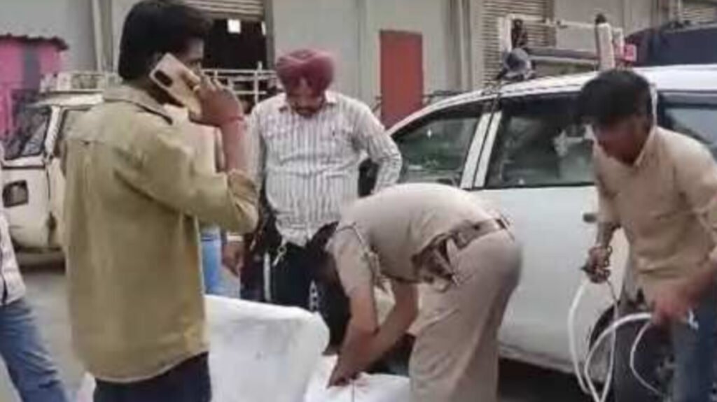 Big News – Courier Parcels Used for Drug Smuggling: 56 kg Ganja Seized in Ludhiana
