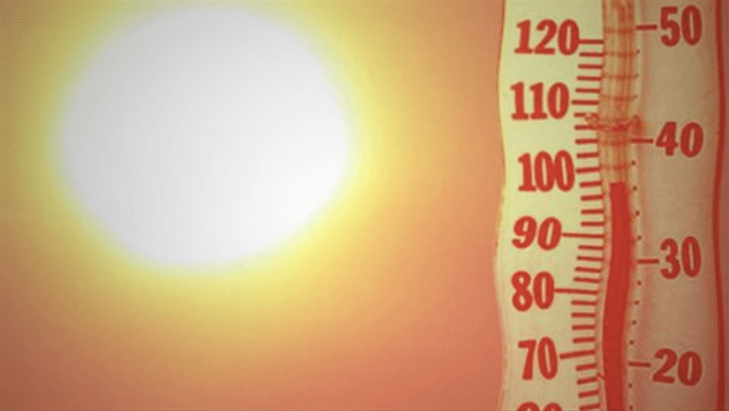 Heatwave Alert for Punjab, Chandigarh as Mercury Soars Across Region