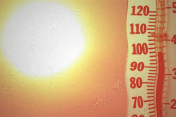 Relentless Heatwave Tightens Grip on Punjab, Chandigarh as Temperatures Continue to Surge