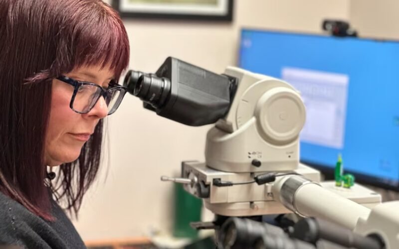 B.C. Attracts Over 400 U.S. Health Workers in Major Recruitment Push