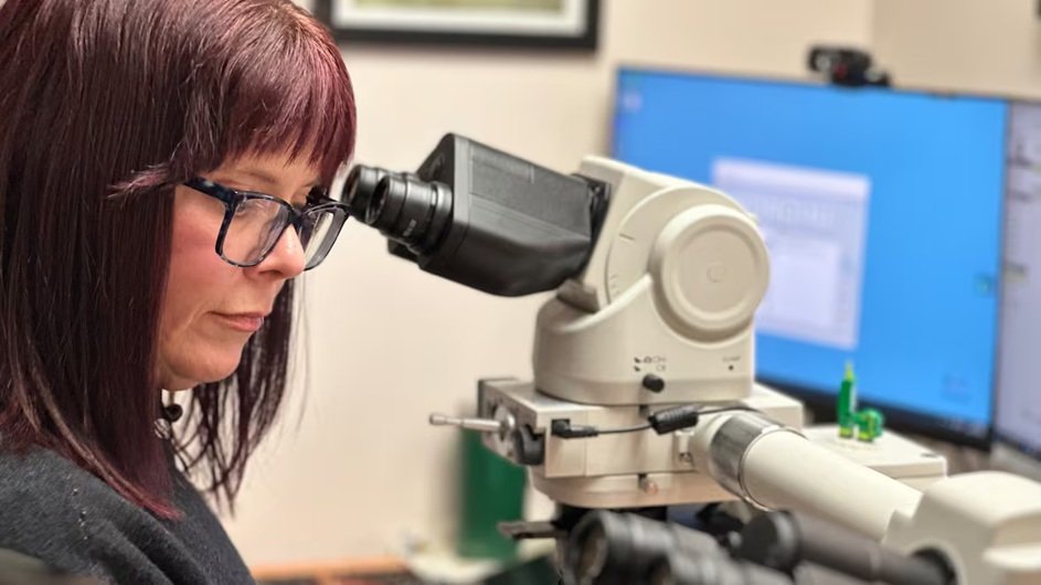 B.C. Attracts Over 400 U.S. Health Workers in Major Recruitment Push