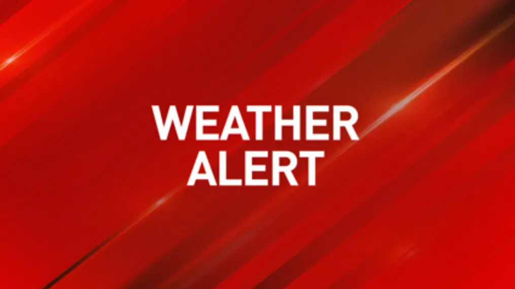 Warmer, Drier Spring Likely for Metro Vancouver After Rare Snowless Winter