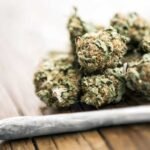 Two Bihar Minors Detained in Surat with Cannabis Worth Rs 4.54 Lakh