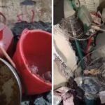 Massive explosion reported in Haryana’s Yamunagar as gas cylinder explodes, children among 10 injured