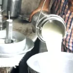 Punjab Hikes Milk Procurement Price by ₹20/kg Fat to Boost Dairy Farmers