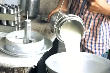 Punjab Hikes Milk Procurement Price by ₹20/kg Fat to Boost Dairy Farmers