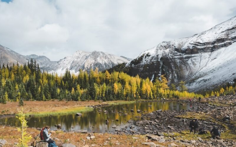 Alberta Pushes Back on Canada’s Nature Strategy, Seeks Recognition of Provincial Role