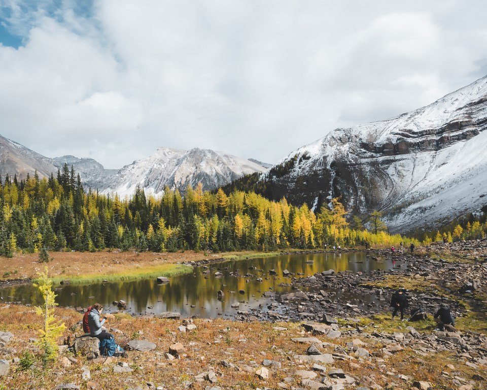 Alberta Pushes Back on Canada’s Nature Strategy, Seeks Recognition of Provincial Role