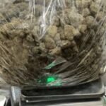 Drug Bust at Amritsar Airport: Passenger Held with Concealed Cannabis Worth ₹96 Lakh