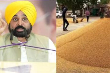 Punjab Govt Plans to Replace Striking Commission Agents with Cooperative Societies to Ensure Smooth Wheat Procurement