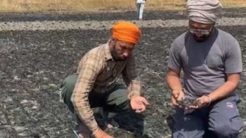 Fire Destroys Wheat Crop of Two Brothers in Fazilka Village, Locals Extend Financial Aid