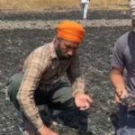 Fire Destroys Wheat Crop of Two Brothers in Fazilka Village, Locals Extend Financial Aid