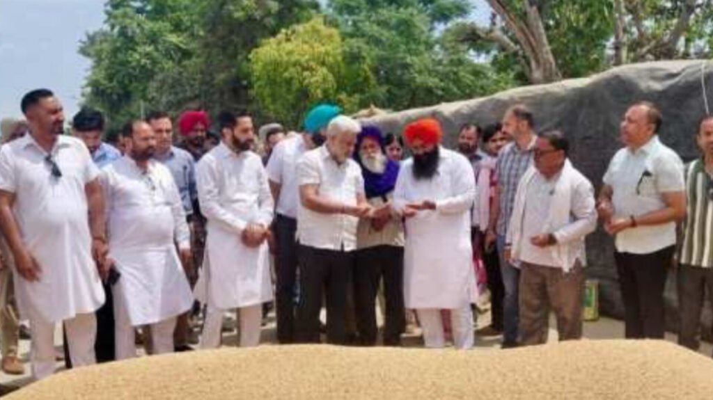 Punjab Procures Over 24 Lakh MT Wheat; Payments Cross ₹647 Crore, Says Minister