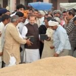 Nayab government ensuring procurement of every grain at MSP: Dr. Arvind Sharma