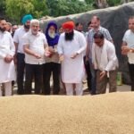 Over 24 LMT of wheat procured in Punjab; ₹647 crore credited to farmers