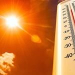 Haryana Issues Health Advisory Amid Rising Temperatures, Districts Put on High Alert