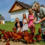 Ukrainian Cultural Heritage Village to Reopen After Fire, Restoration Efforts Progress