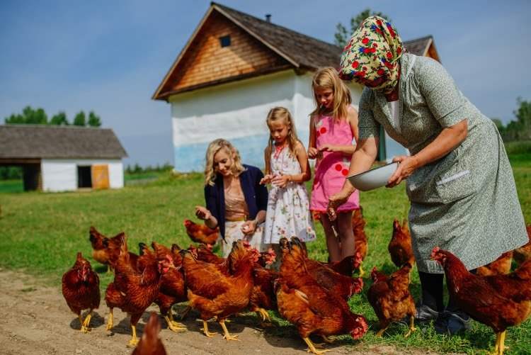 Ukrainian Cultural Heritage Village to Reopen After Fire, Restoration Efforts Progress