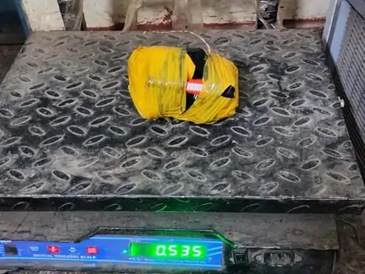 Border Vigilance Thwarts Drone Drop Bid, Narcotics Recovered in Amritsar Sector