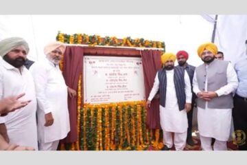 Punjab to underground electricity wires in fields; CM Mann launches pilot project from native village Sattoz