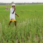 Haryana Secures Global Geospatial Excellence Award in Rotterdam for Space-to-Citizen Agricultural Tech