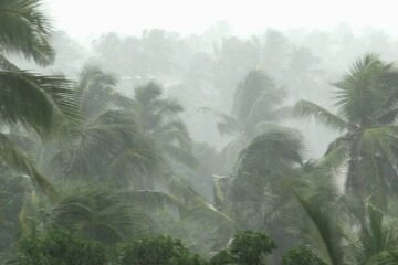 Southwest Monsoon Marches into Maharashtra and Northeast While Severe Heat Returns to Northern India