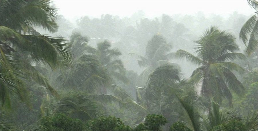 Southwest Monsoon Marches into Maharashtra and Northeast While Severe Heat Returns to Northern India