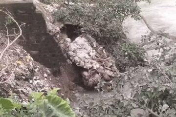 Flood Threat Deepens in Pathankot as Eroding Canal Banks Put Villages on Edge; Residents Demand Immediate Action