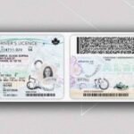 Alberta’s New ID Card Rollout Sparks Registry Meltdown, Long Waits Leave Albertans Frustrated