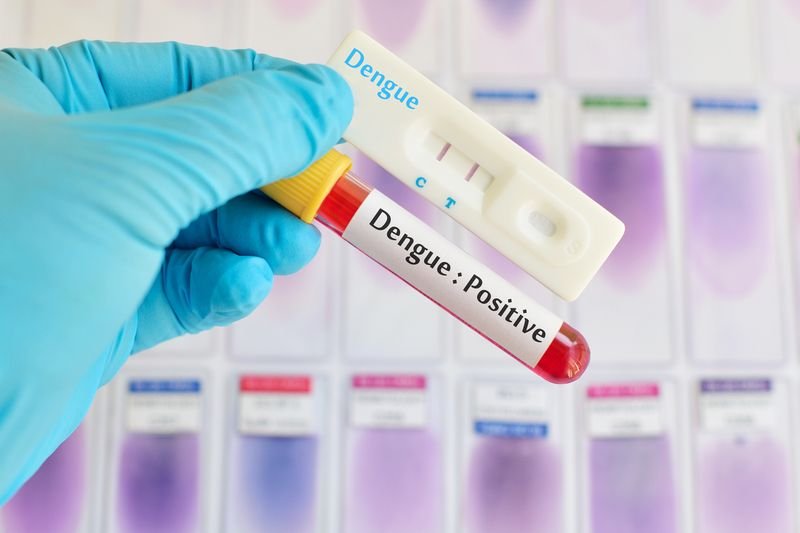 Type 2 Diabetes Increases Risk of Severe Dengue Complications, Experts Urge Routine Vaccination