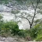 Mandi: Cauliflower-Laden Jeep Falls Into Beas River, Driver Feared Missing