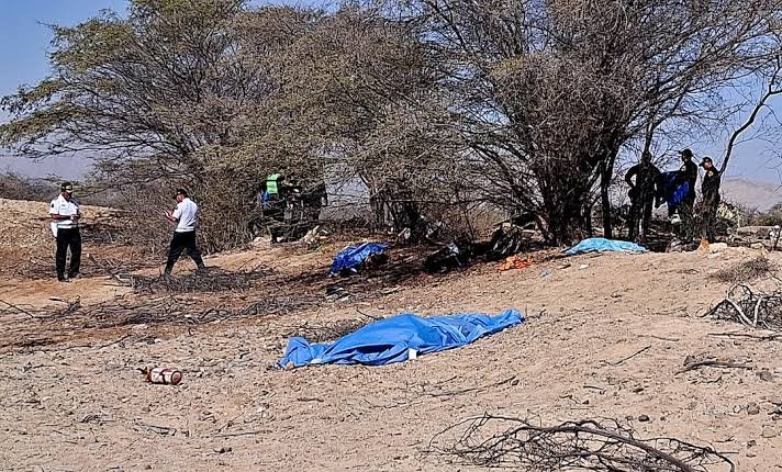 Sightseeing Flight Crashes Near Peru’s Nazca Lines, 13 People Killed